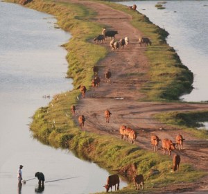 Paysage typique de la région de Mau Luong