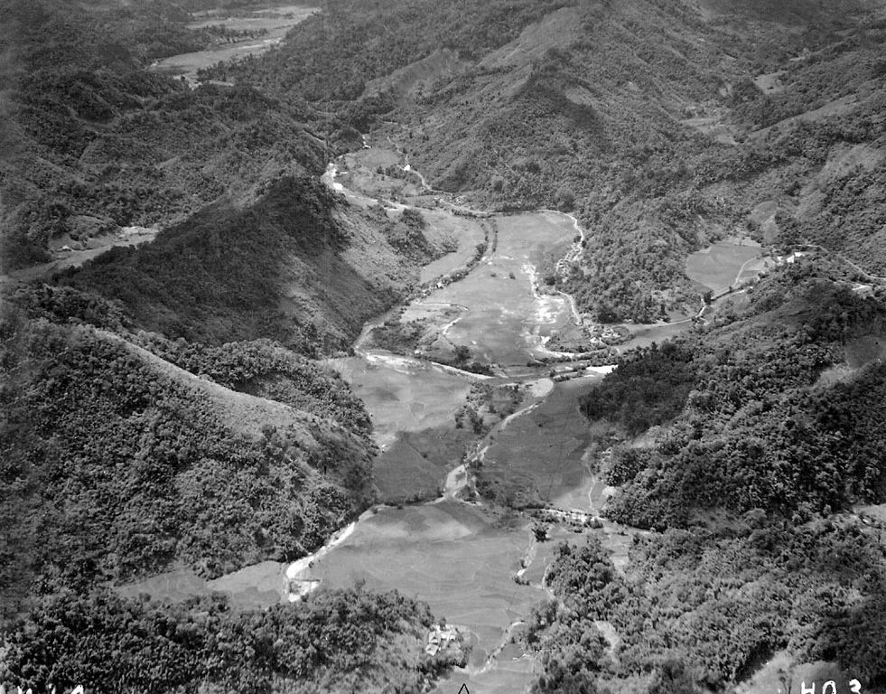 Cho Don ( Photo 1er RCP)